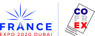 logo france dubaï